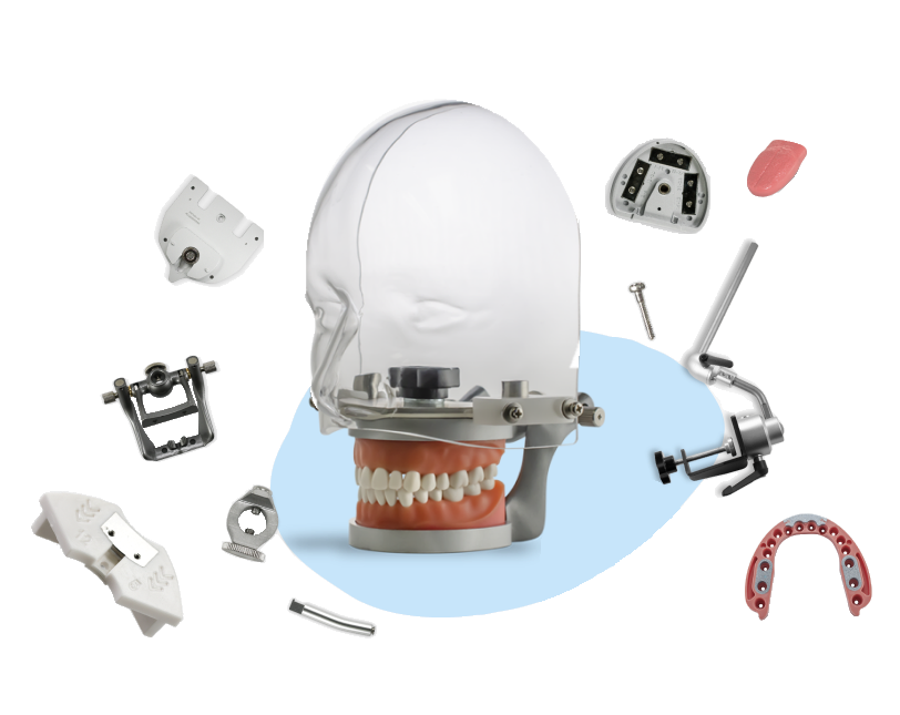 Dental accessories — articulators, trays, plates, and adapters