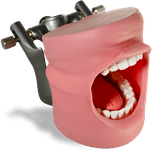 Hygiene/Perio