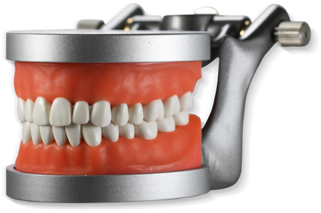 EFDA-Restorative—Expanded Function Dental Auxiliary & Restorative